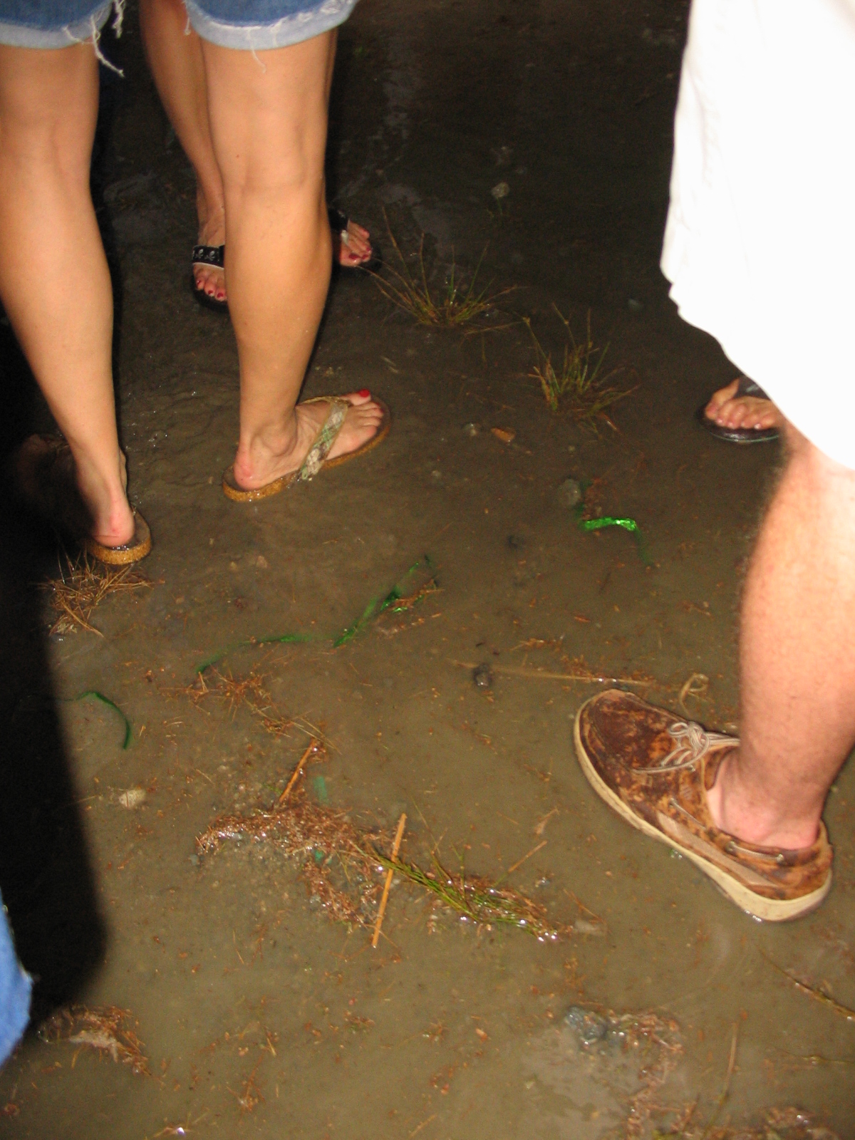 IMG_5826.JPG